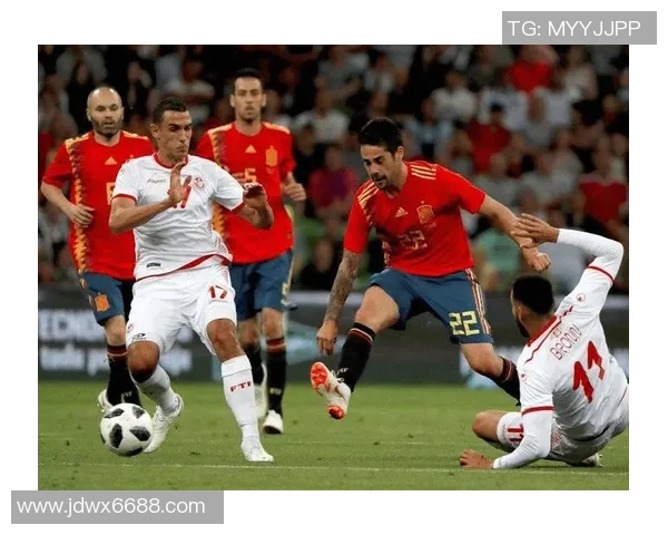 南京网球队的战术解析与阵地战策略深度剖析